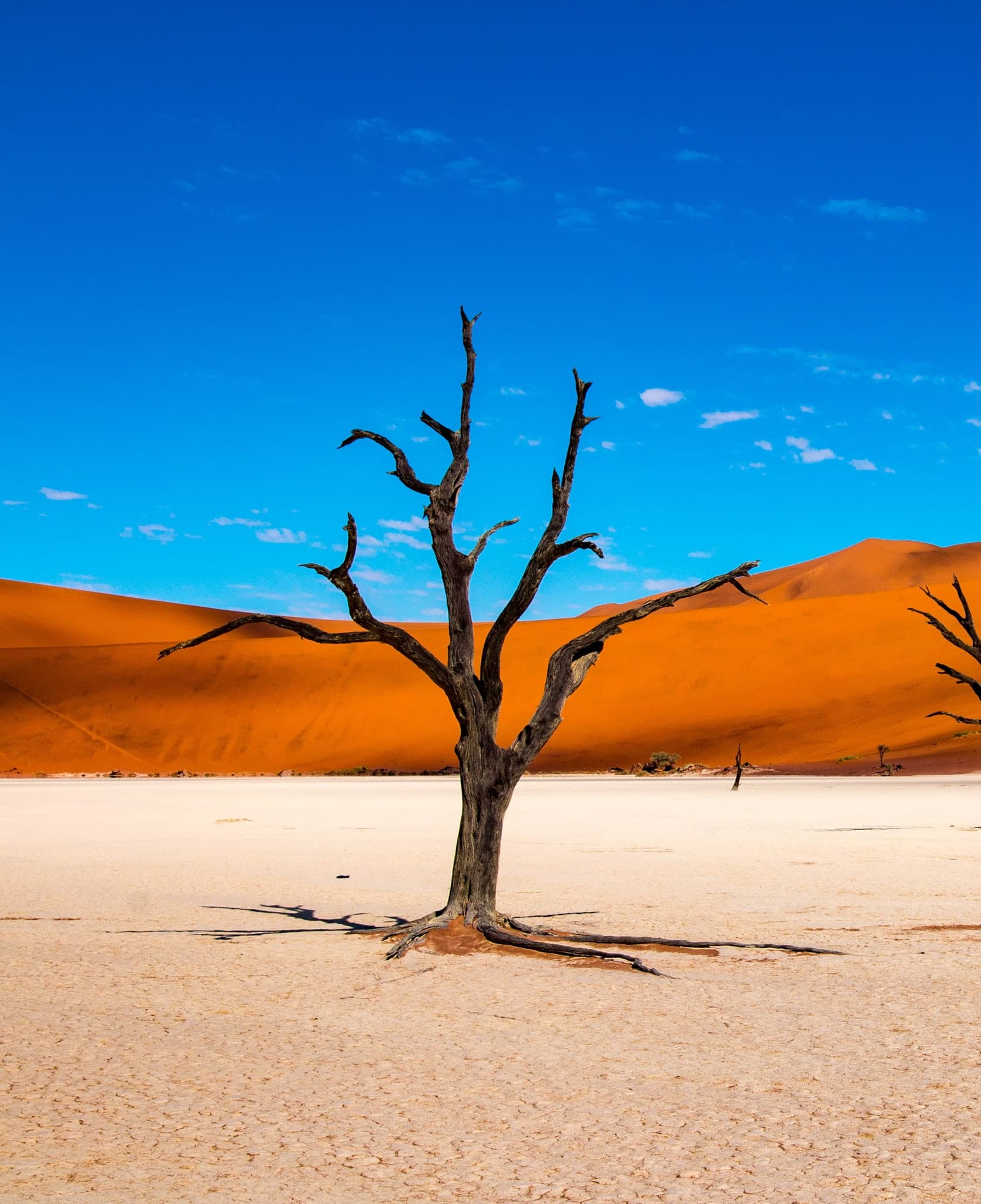 Namibië 