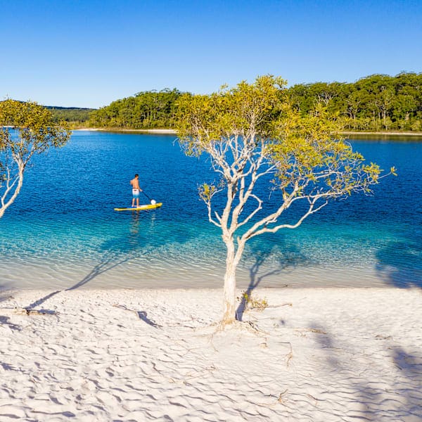 Australian van life: East Coast and sun-kissed wonders!