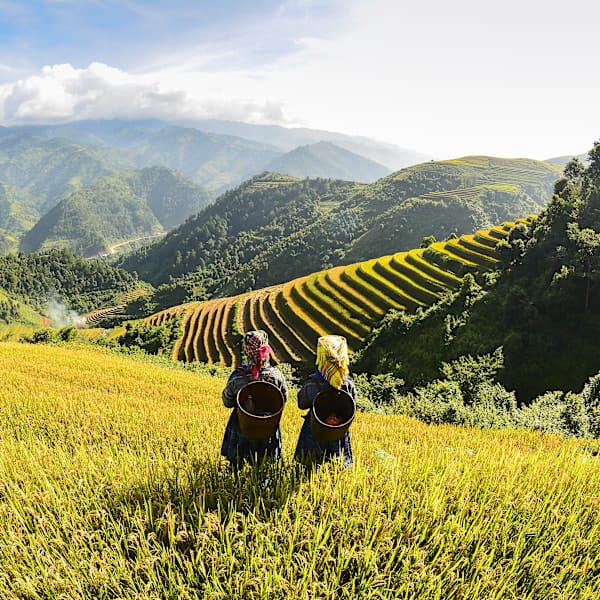 2 for 1 Vietnam: noordwaarts met local living in Sapa
