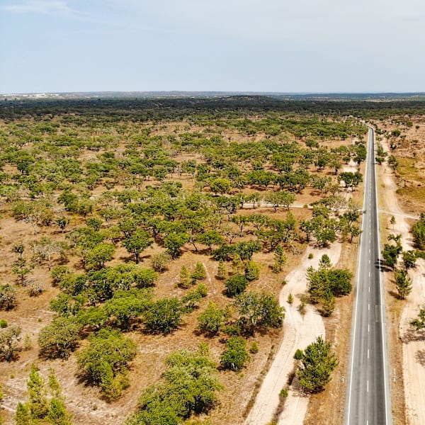 Zuid-Portugal: Atlantische roadtrip door Alentejo
