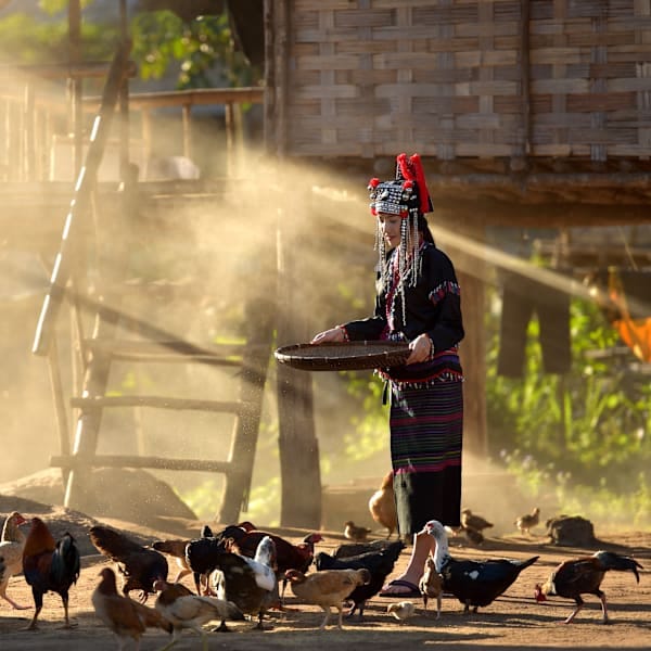2 for 1 Laos: van natuuravontuur tot Bangkok