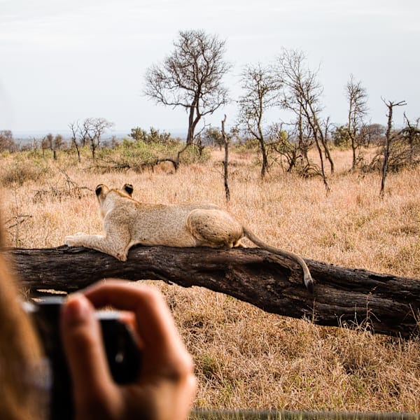 Around the world: Australië-vanlife tot Afrika-roadtrip