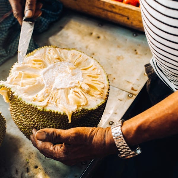 Mauritius' highlights: van watervallen tot zevenkleurige aarde