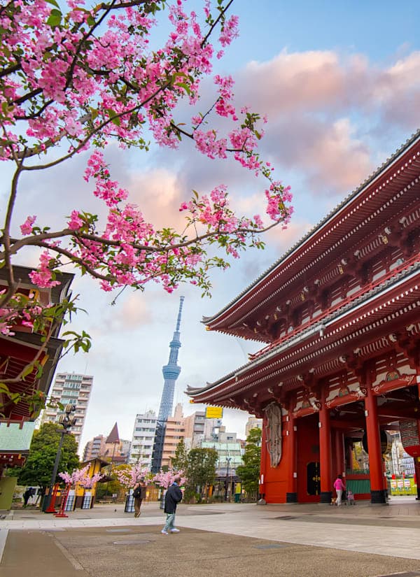 Tokio tot Okinawa: tussen skyline & zonnig eiland