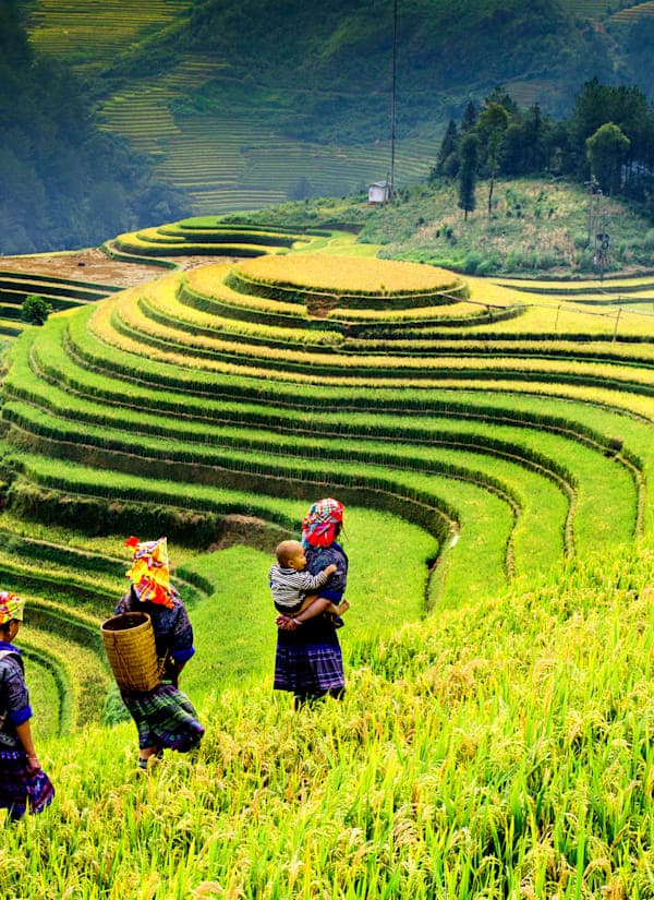 Vietnam intens: lokaal leven met Halong & Mekong