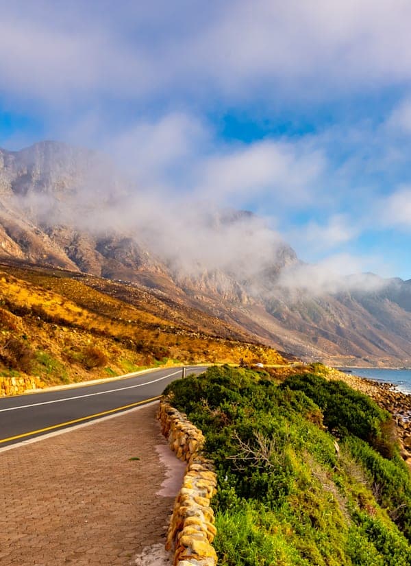 Zuid-Afrika roadtrip: Tuinroute, wildlife & waves