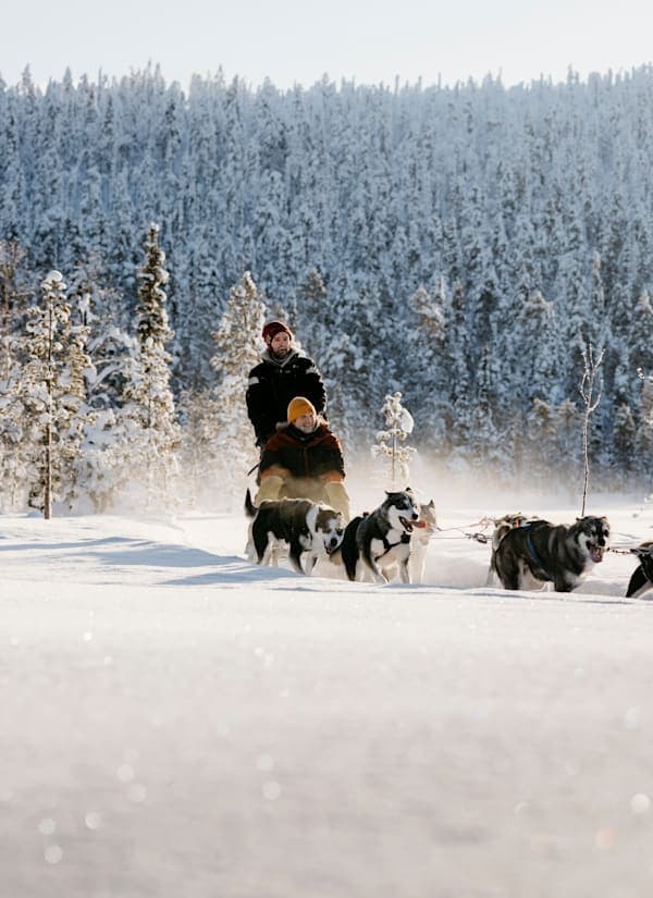 Fins Lapland: wintermagie in Ylläs met huskysafari