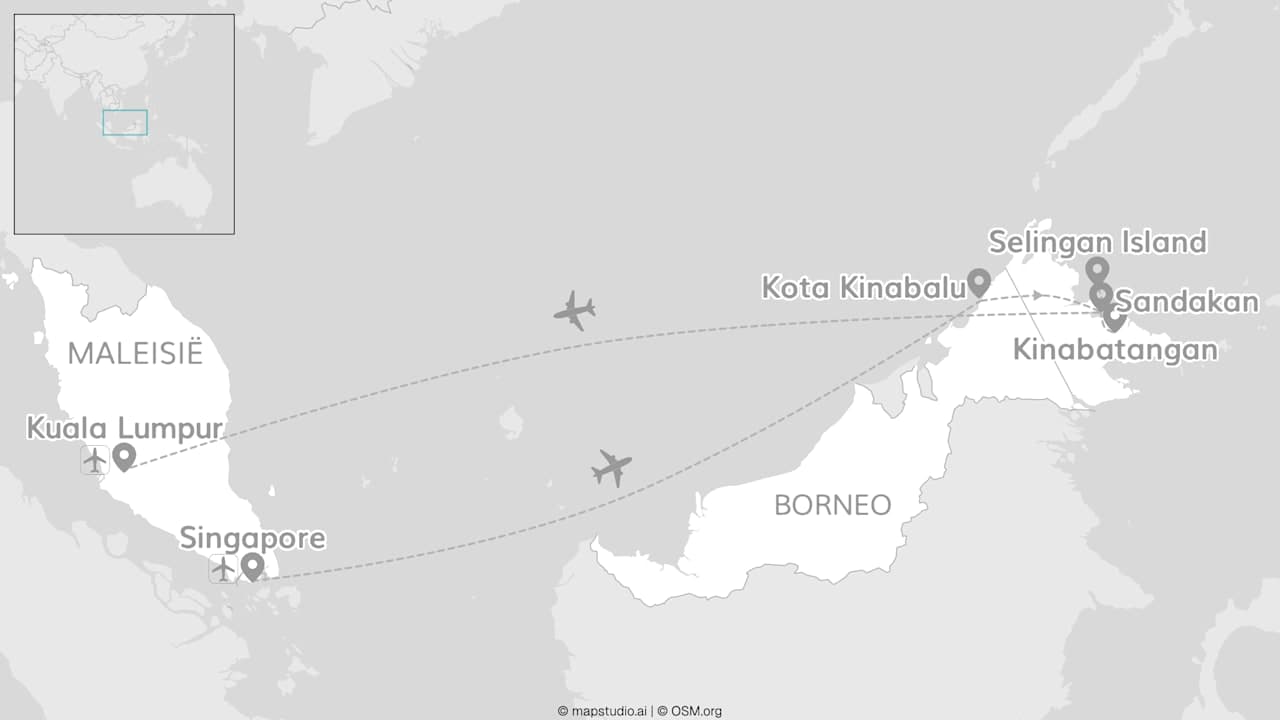 Maleisië & Singapore: junglegeheimen van Borneo