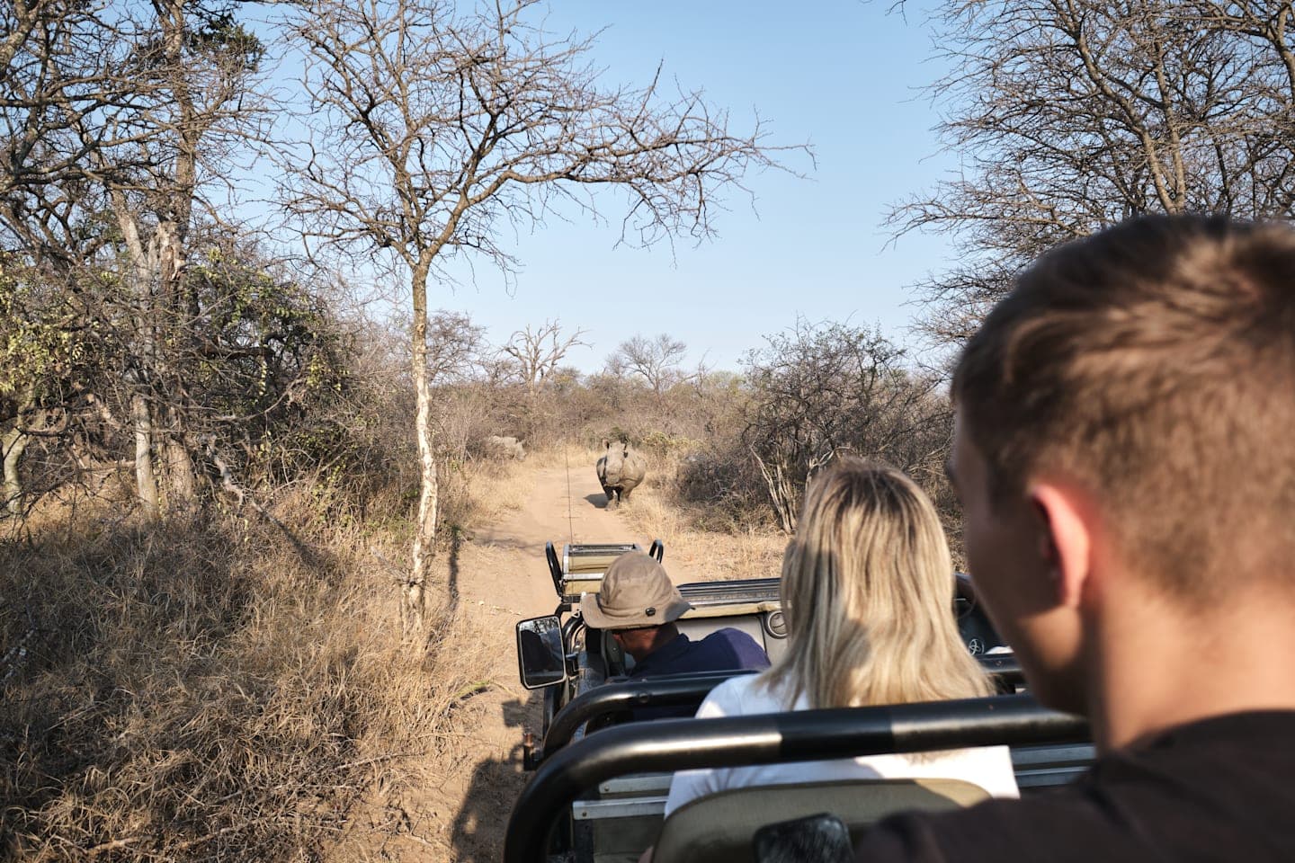 Dagsafari in het Krugerpark thumbnail