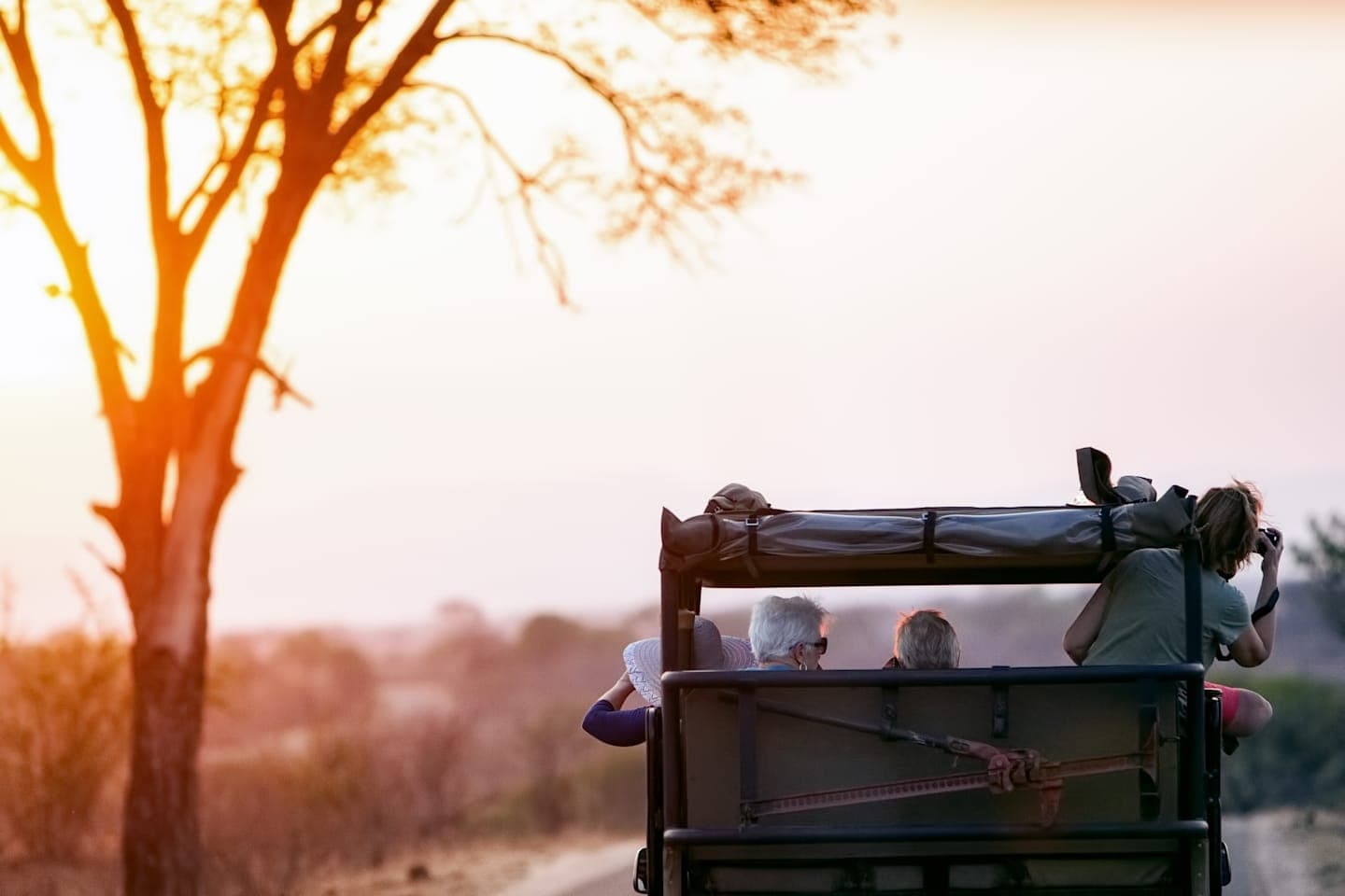 Avondsafari door het Krugerpark thumbnail