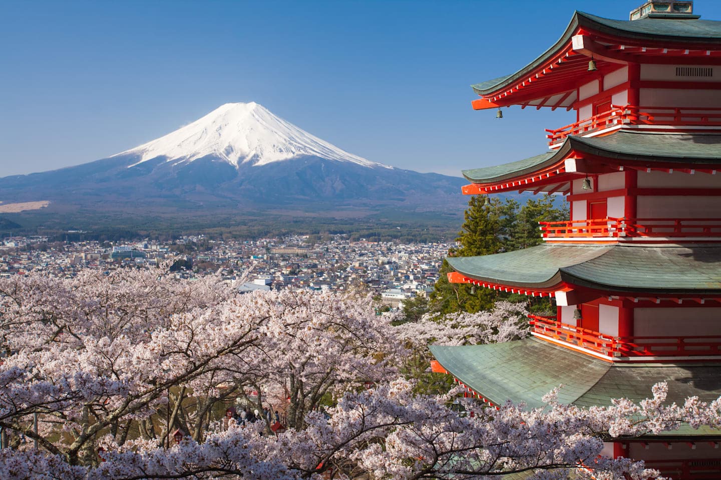 Tour naar Mount Fuji thumbnail