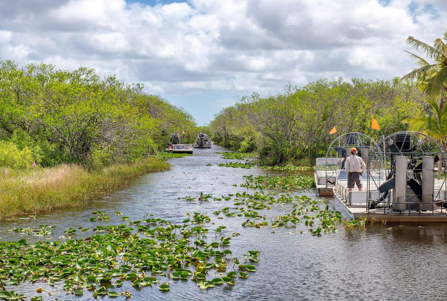 Airboattocht & natuurwandeling in de Everglades thumbnail