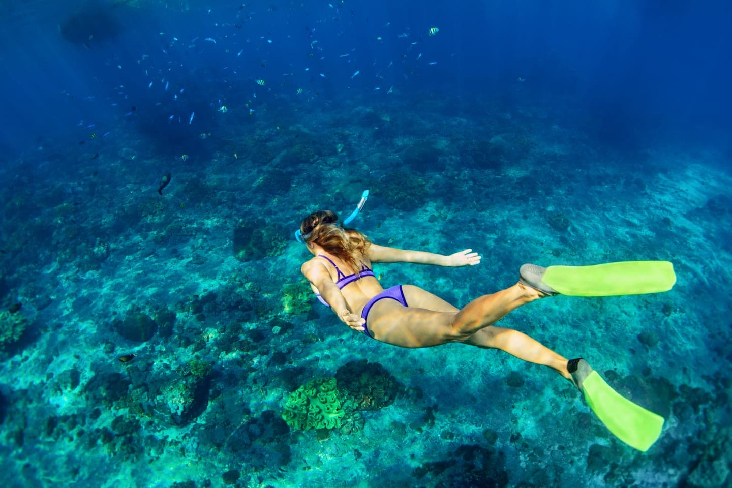 Snorkelen naar de Cham Islands thumbnail