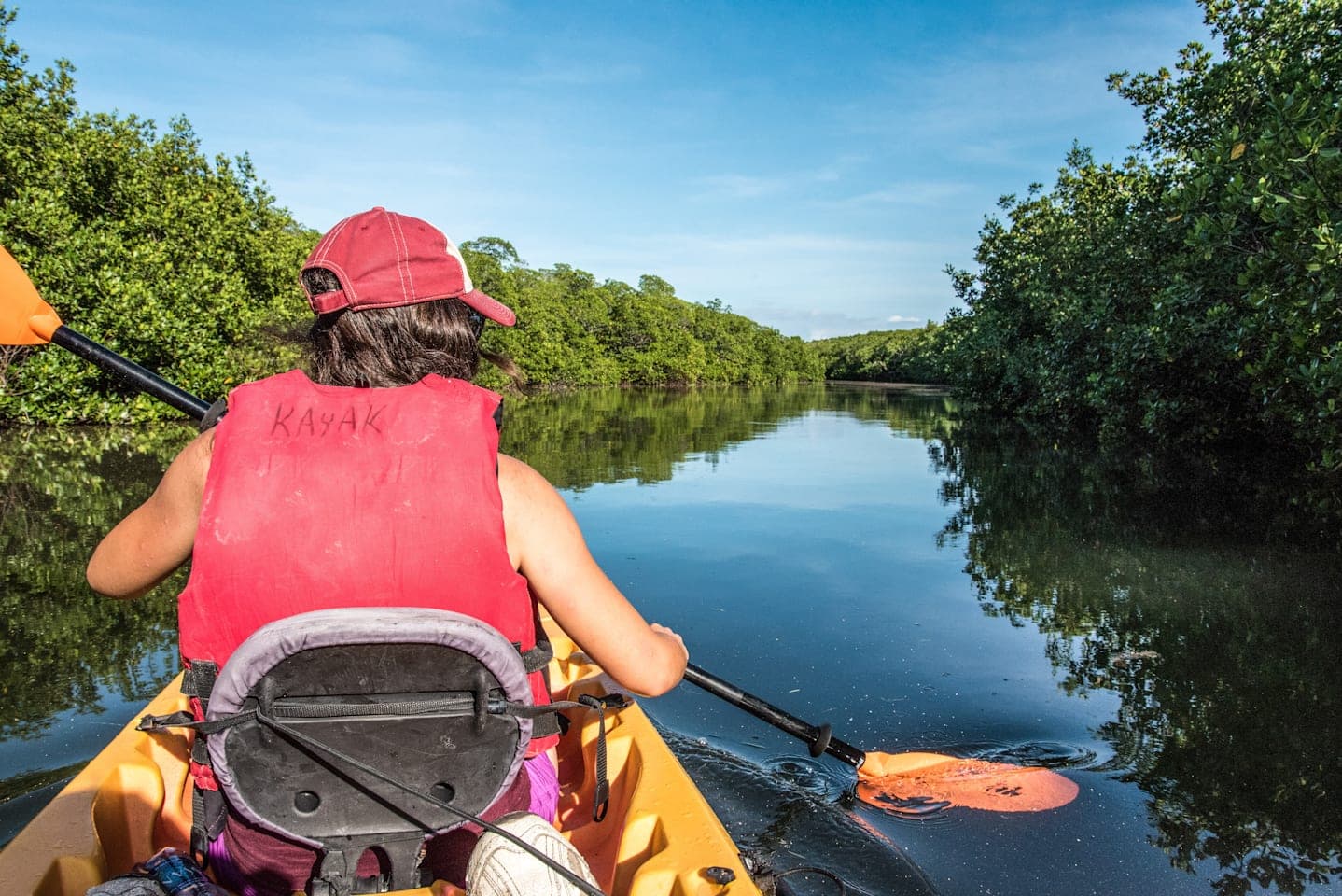 Kajakken door Holbox' mangrovebos thumbnail