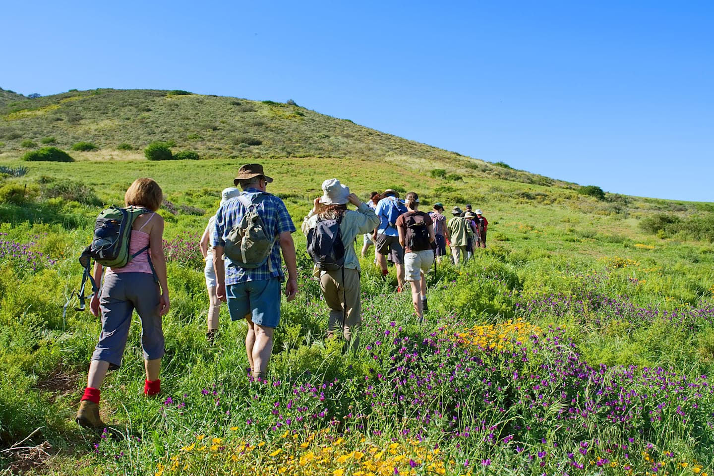 Natuurwandeling & wijnproeverij thumbnail