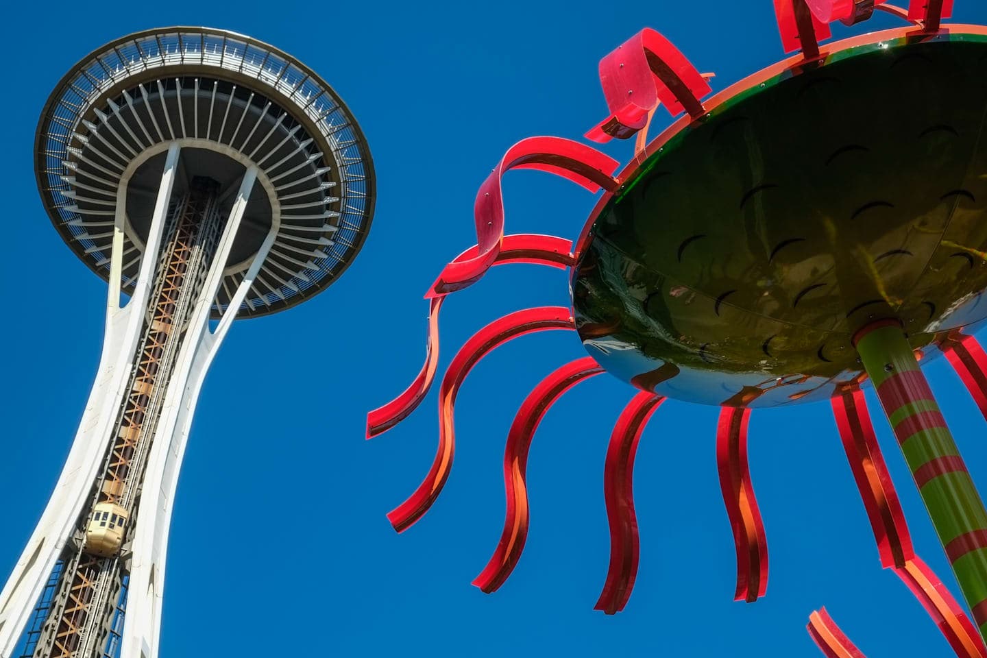 Ticket voor de Space Needle & Chihuly Garden and Glass thumbnail