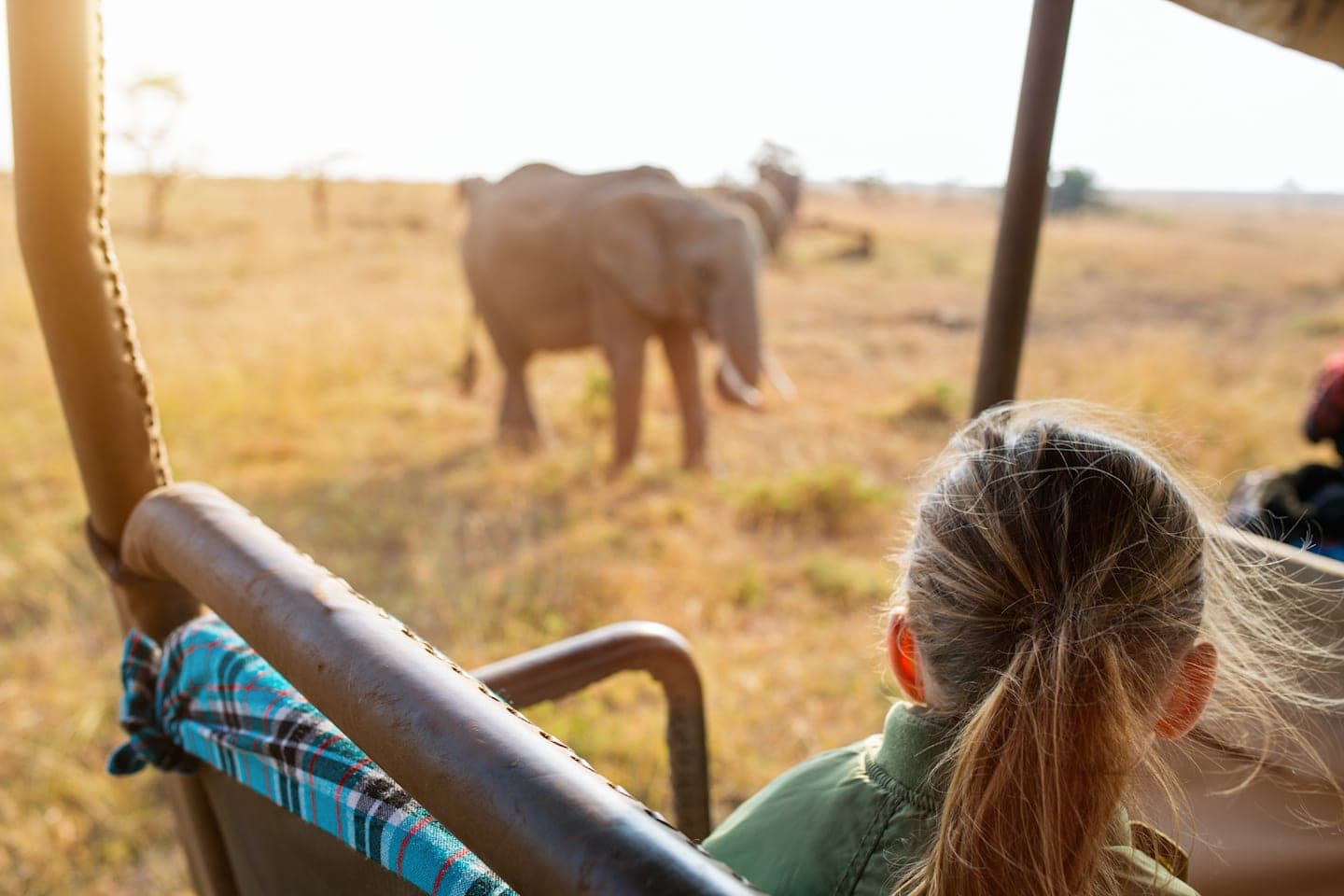 Dagsafari door Addo Elephant National Park thumbnail