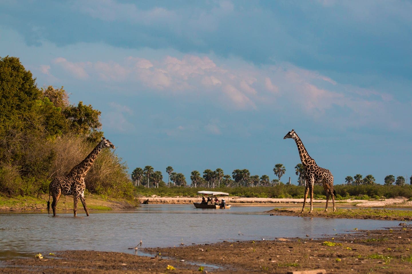 Boottocht op de Rufiji-rivier thumbnail