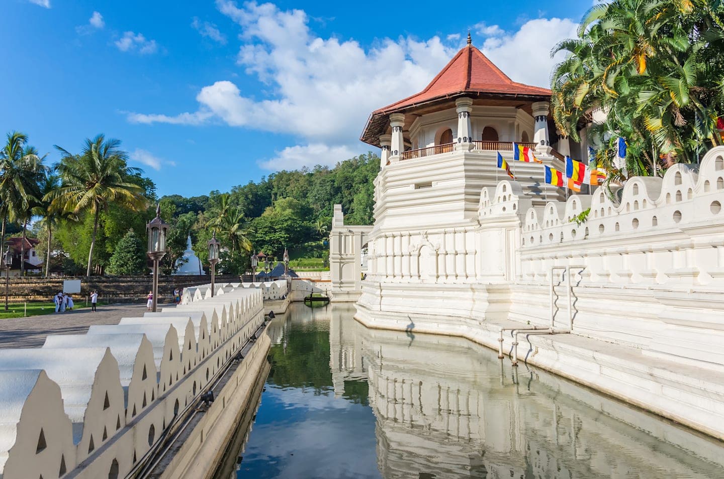 Stadstour door Kandy thumbnail