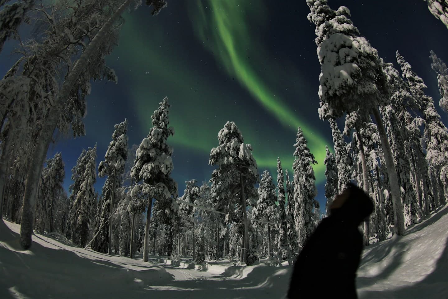 Fotosafari naar het noorderlicht in Lapland thumbnail