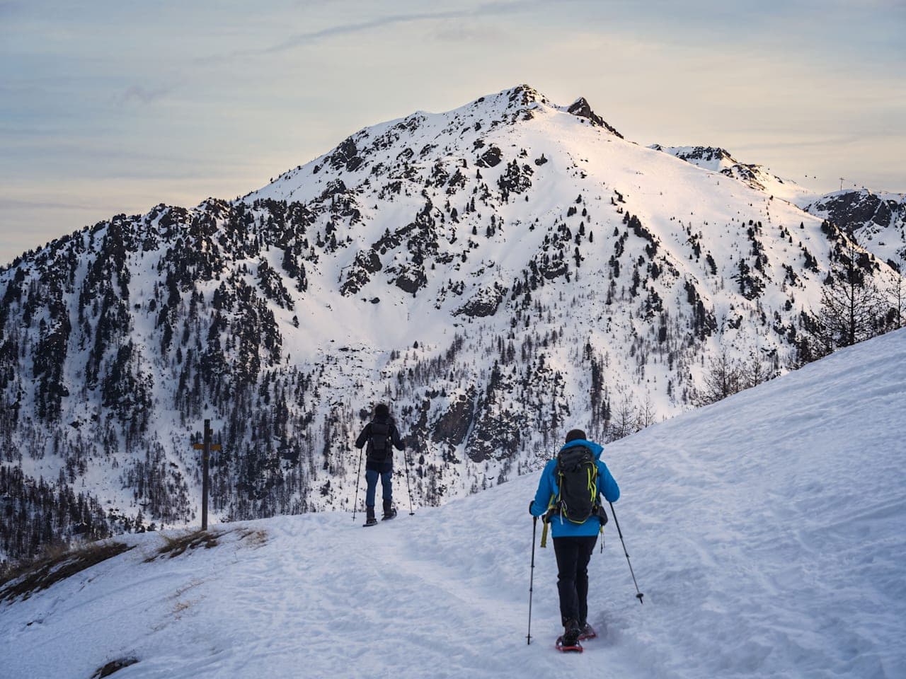 Sneeuwschoenwandeling thumbnail