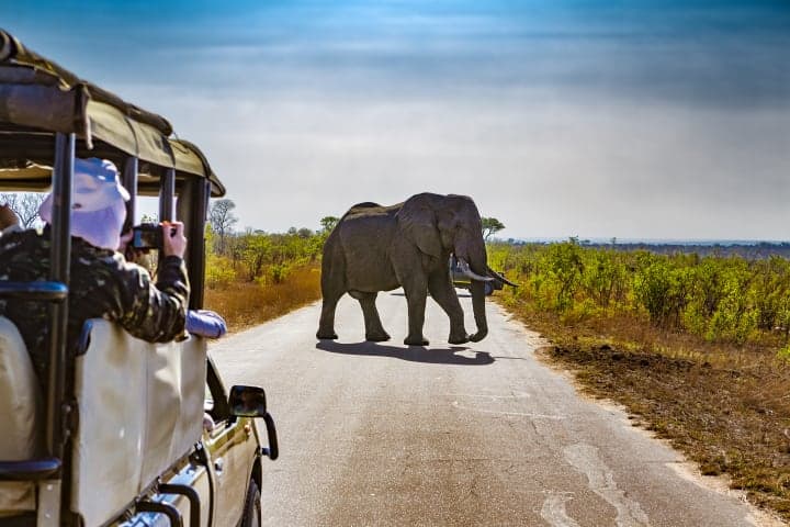 Ochtendsafari door het Krugerpark thumbnail