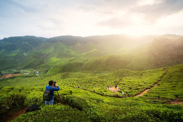 Dagtour naar de Cameron Highlands thumbnail