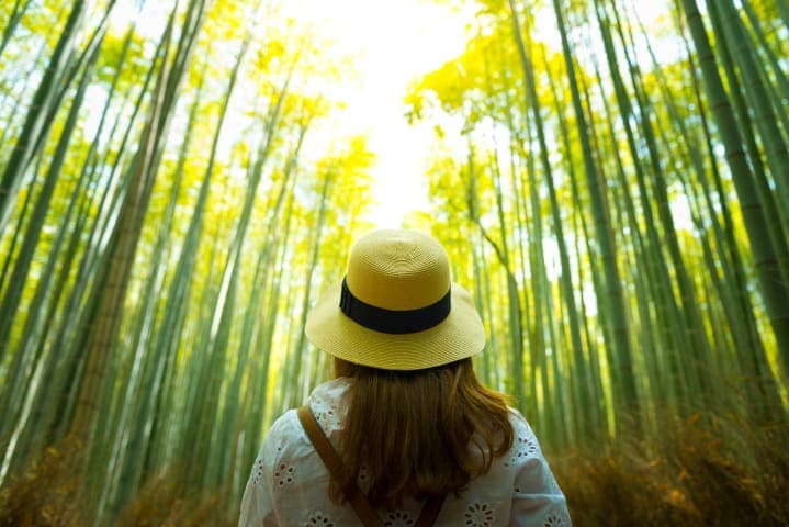 Wandeltour door Arashiyama thumbnail