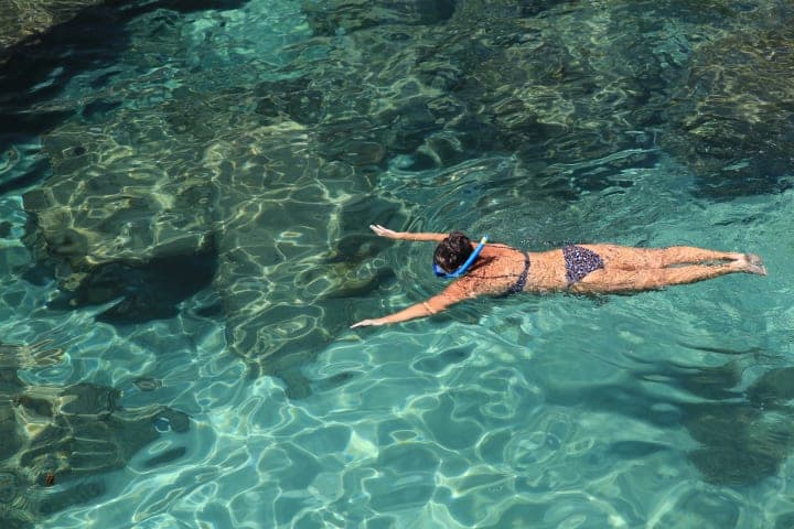 Een hele dag snorkelen thumbnail