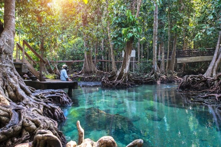Tour naar de jungle, hotsprings & tempels thumbnail