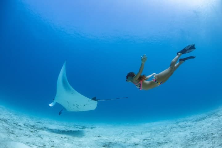 Snorkelen rond Nusa Penida vanuit Sanur thumbnail