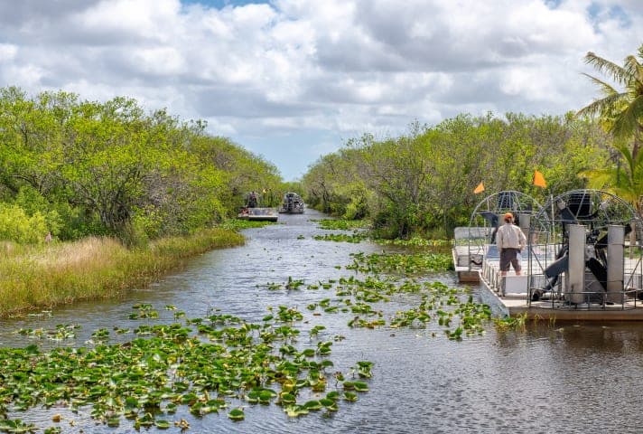 Airboattocht & natuurwandeling in de Everglades thumbnail