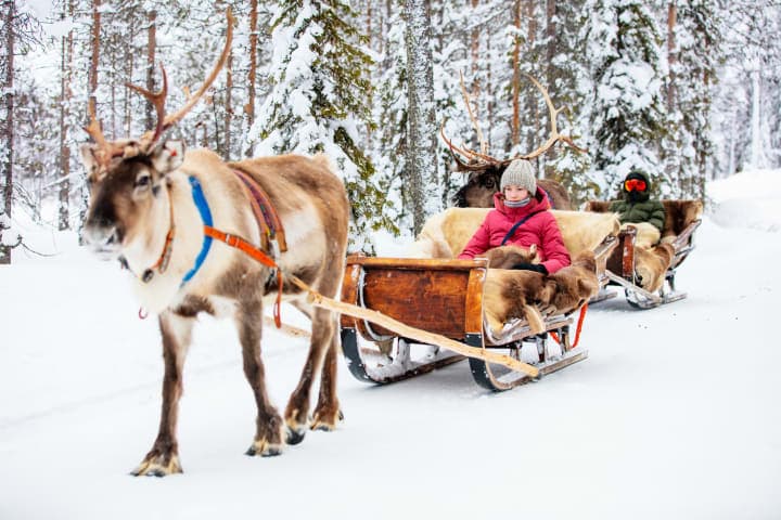 Winterse rendiersafari thumbnail