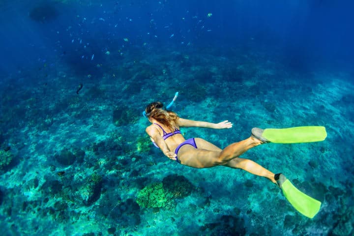 Snorkelen naar de Cham Islands thumbnail