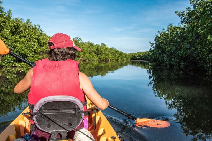 Kajakken door Holbox' mangrovebos thumbnail