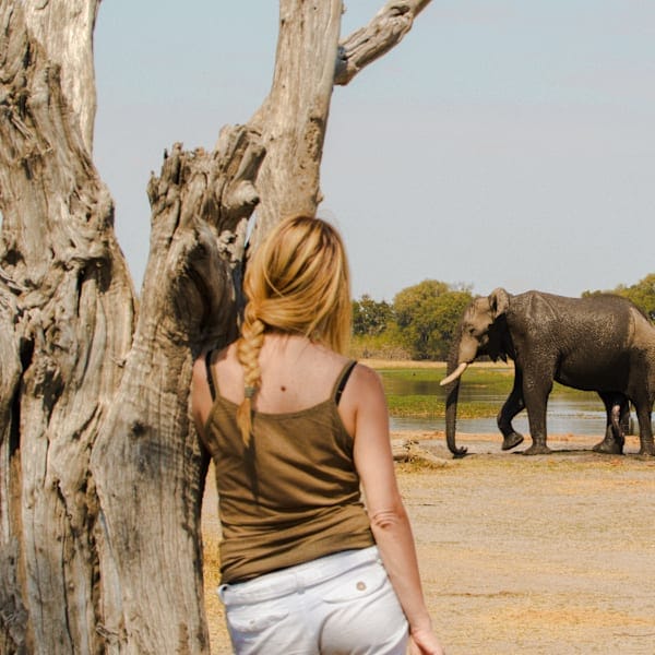 Tanzania & Zanzibar: van safari tot strandverblijf